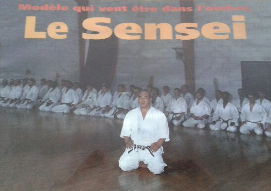 sensei modele
