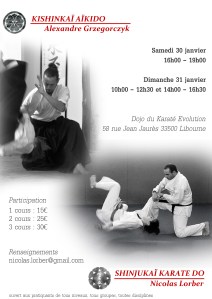 Affiche stage avec Alex