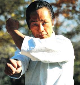 Asai Sensei Jitsugi 1