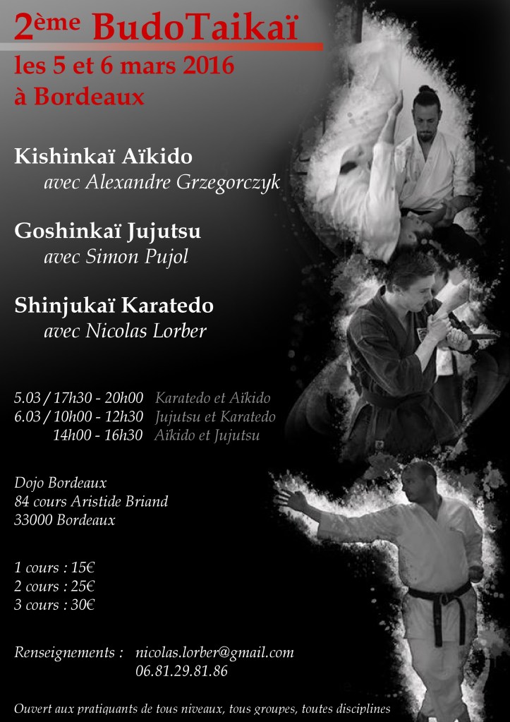 affiche 2e Budotaikai