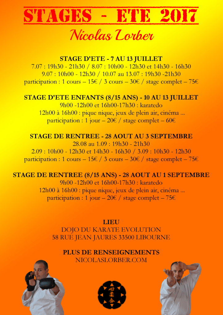 affiche-stage-dete-rentree-2017