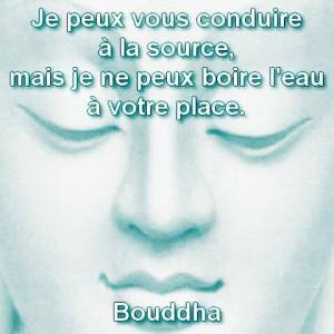 conduire a la source