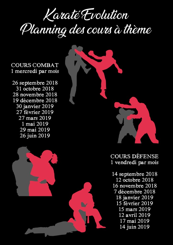Planning cours combat et défense copier