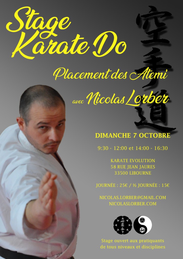 Stage Atemi N.Lorber Dim 7 oct 2018 copier.jpg