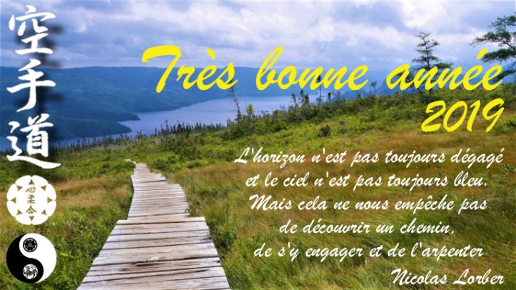 bonne année 2019 copier
