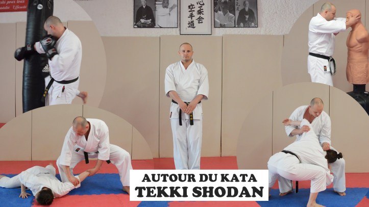 vignette video tekki shodan